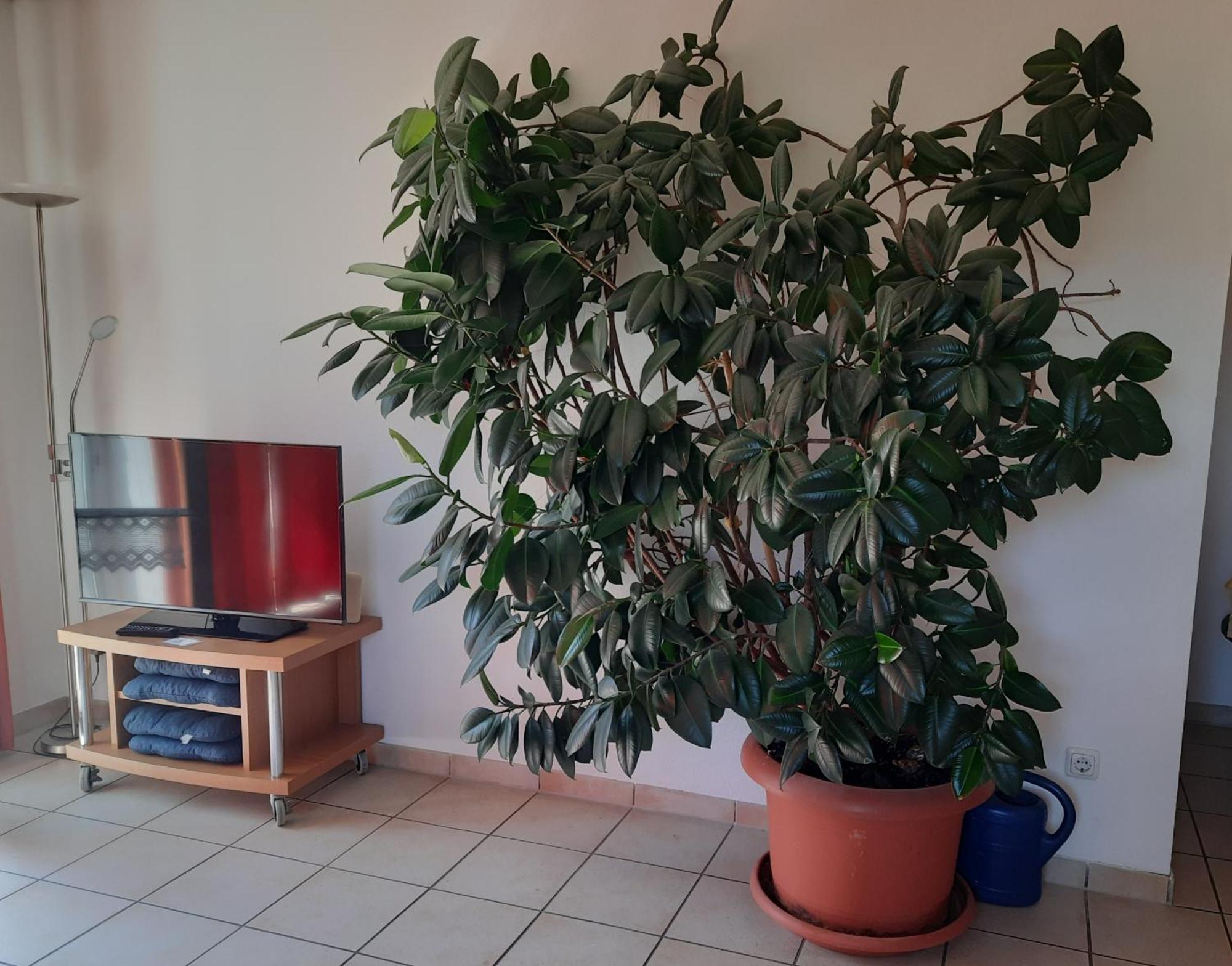 Ferienwohnung Ferstl Riedenburg Bagian luar foto